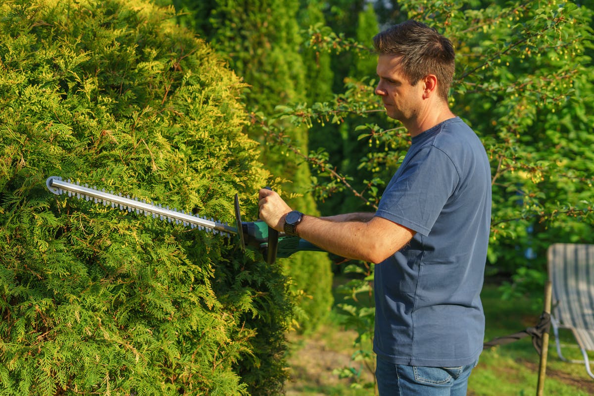 Arbeiten im Garten im Herbst